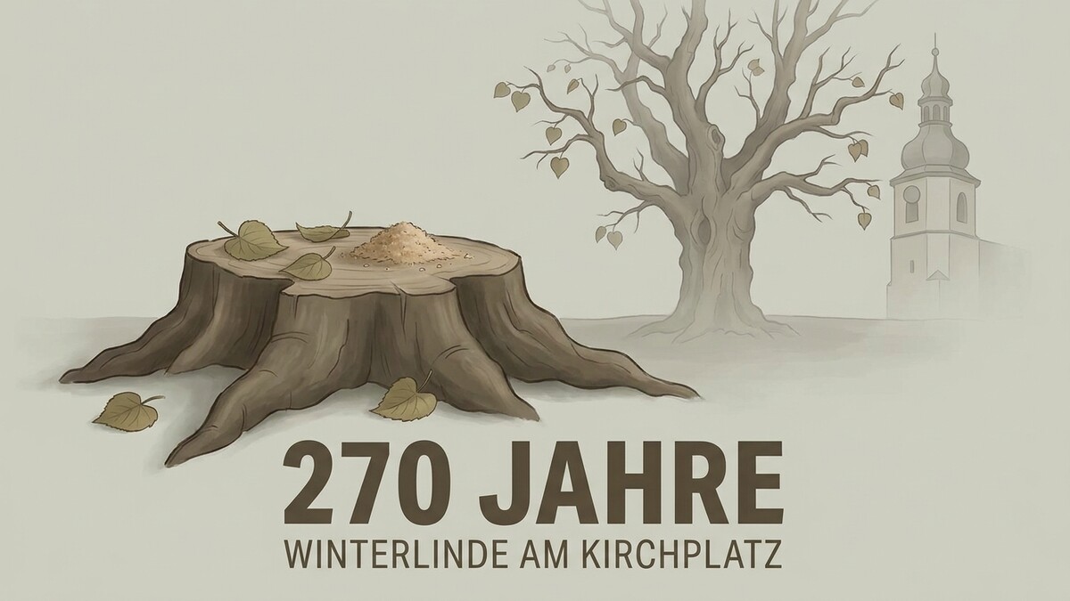 Winterlinde am Kirchplatz, 270 Jahre, Baumstumpf mit Blättern und Kirchturm