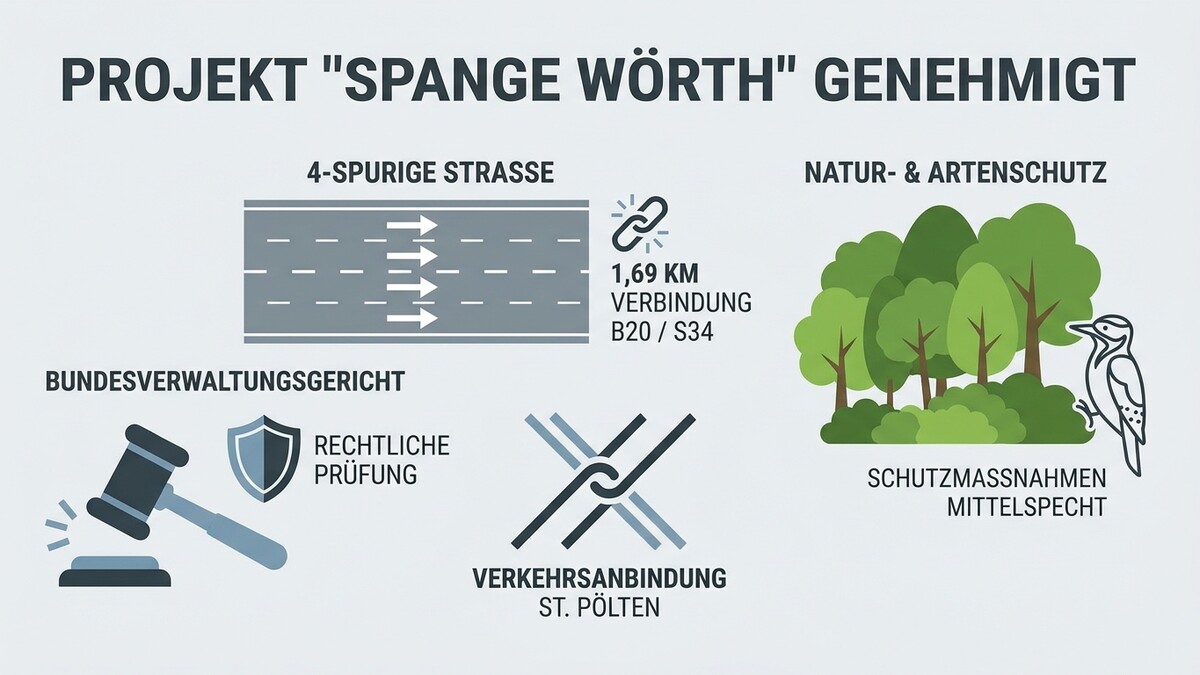 Spange Wörth: 4-spurige Straße, 1,69 km Verbindung B20/S34, Naturschutz, Schutzmaßnahmen Mittelspecht
