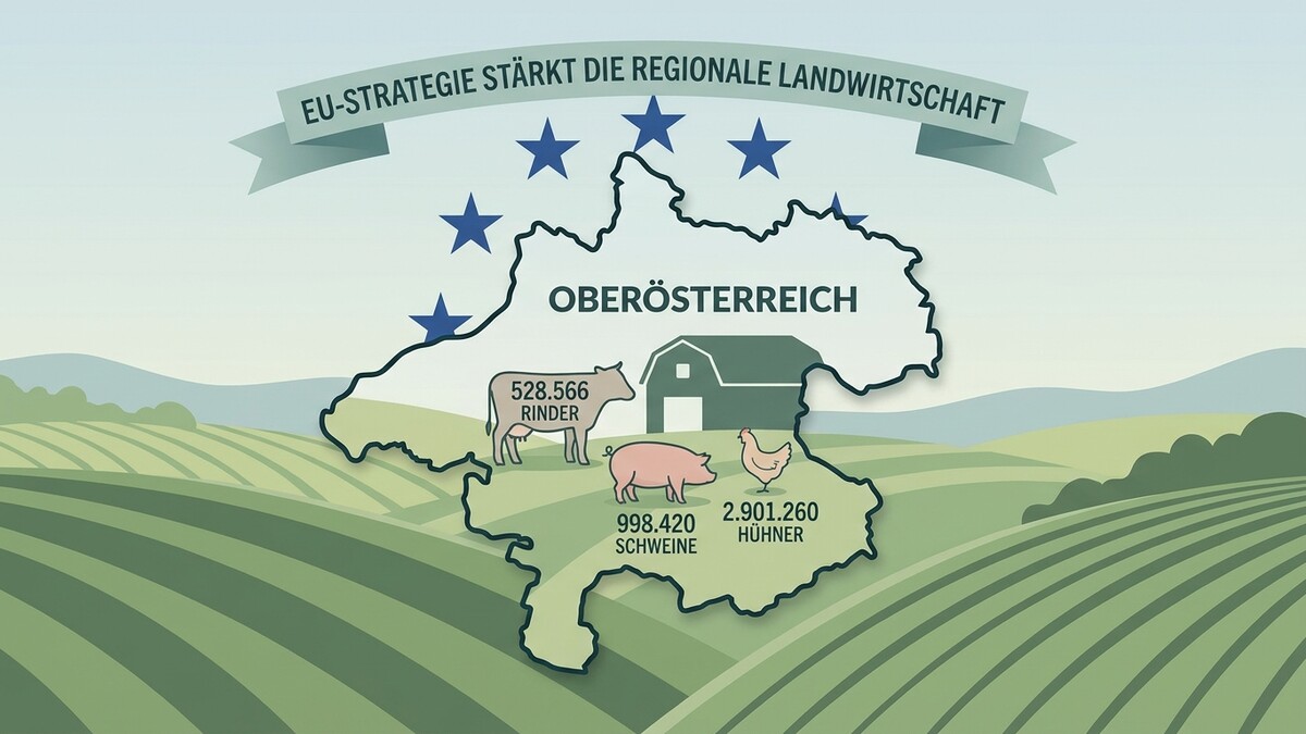 Oberösterreich: EU-Strategie stärkt regionale Landwirtschaft mit Zahlen zu Rindern, Schweinen und Hühnern.