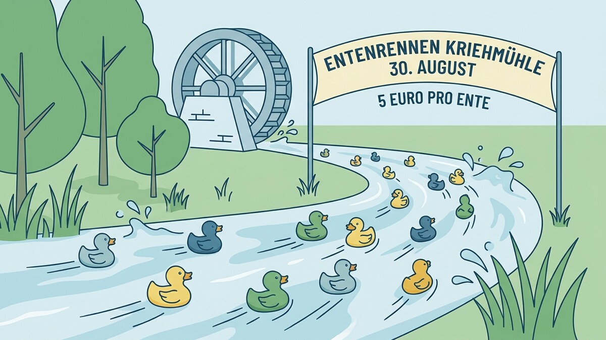 Entenrennen Kriehmühle 30. August, 5 Euro pro Ente, bunte Gummi-Enten schwimmen auf einem Fluss.