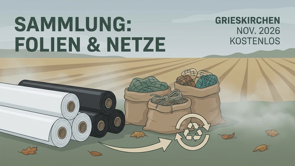 Sammlung: Folien & Netze in Grieskirchen, Nov. 2026, kostenlos