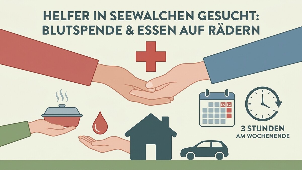 Helfer gesucht: Blutspende und Essen auf Rädern mit Haus und Auto