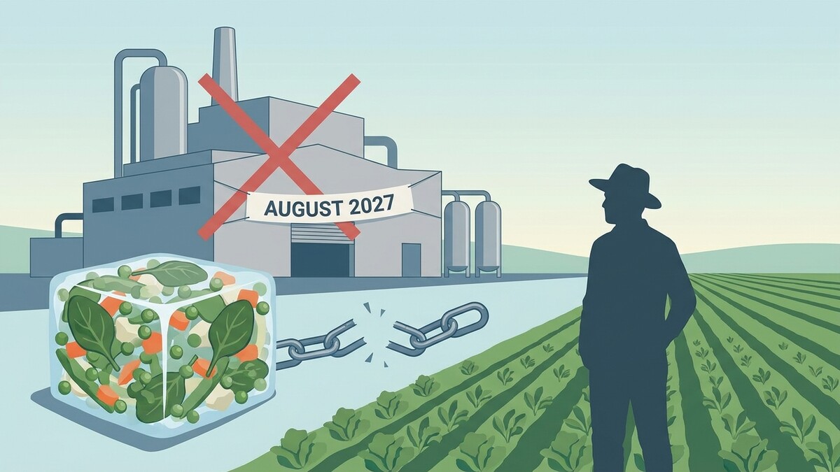 Fabrik mit rotem Kreuz und Datum August 2027, gefrorenes Gemüse im Würfel, zerbrochene Kette, Bauer auf Feld