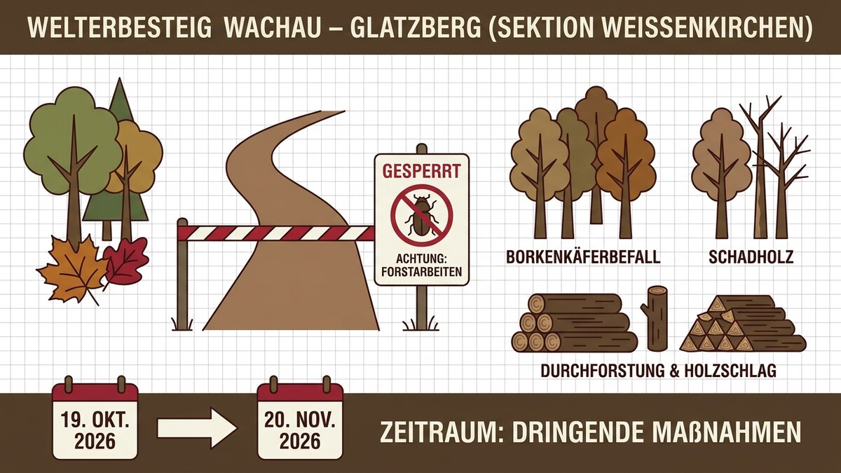 Sperrgebiet Wachau mit Warnband und Borkenkäfer-Symbol auf Baum