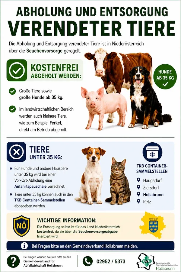 Abholung und Entsorgung verendeter Tiere: Kuh, Schwein, Hund, Hund, Katze