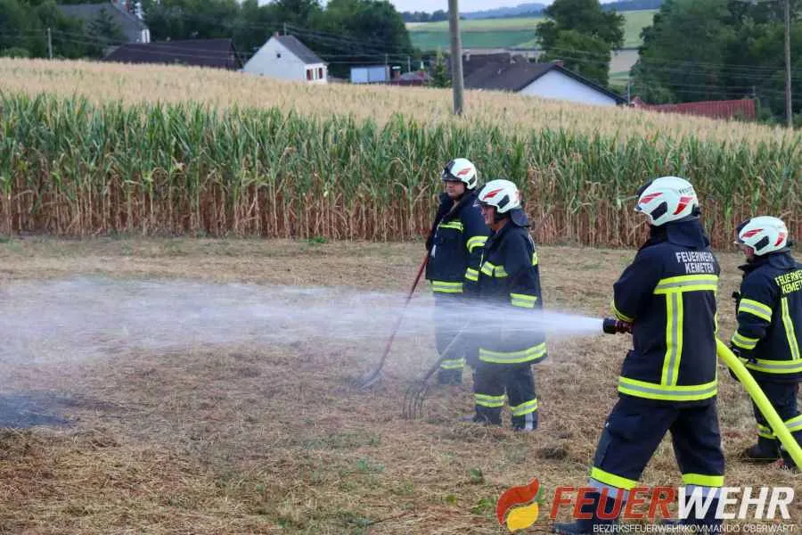 Feuerwehr Kemeten löscht Feldbrand in Oberwart mit mehreren Einsatzkräften und Wasserwerfer