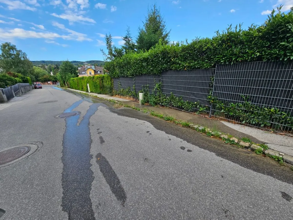 Straße mit Wasserlache und Metallzaun mit Hecke in Österreich