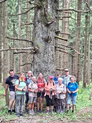 Wandergruppe mit Wanderstöcken vor einem Baum in einem Wald in Österreich