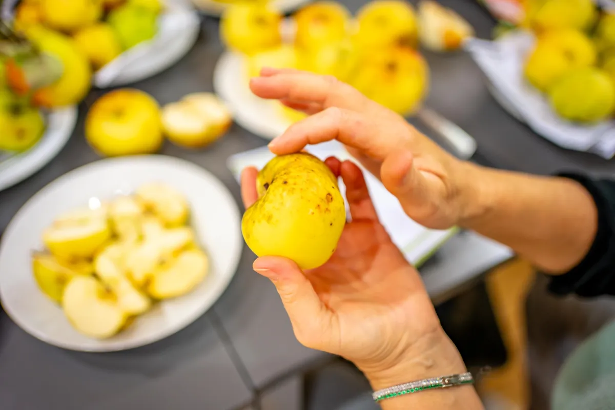 Gelbe Äpfel auf Tellern, eine Hand hält einen Apfel