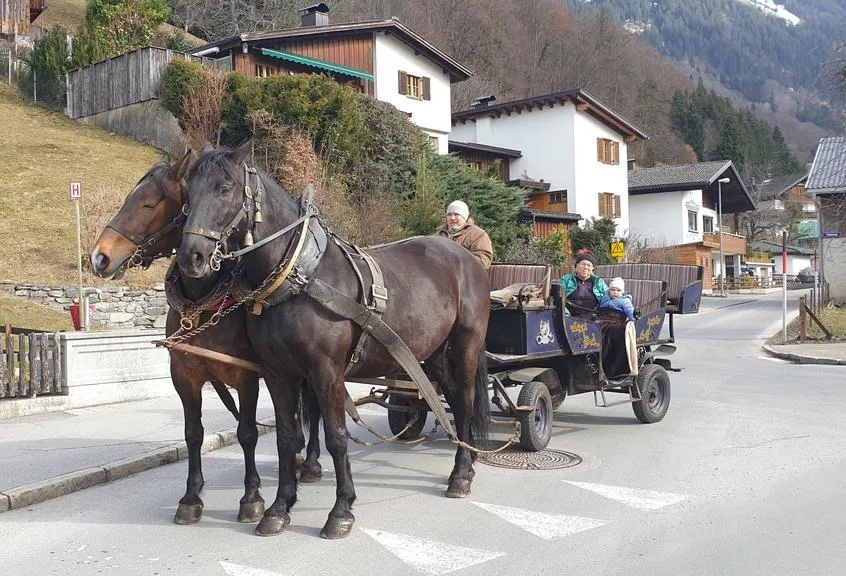 Pferdekutsche mit zwei Pferden und Fahrgästen in einer Bergregion Österreichs.
