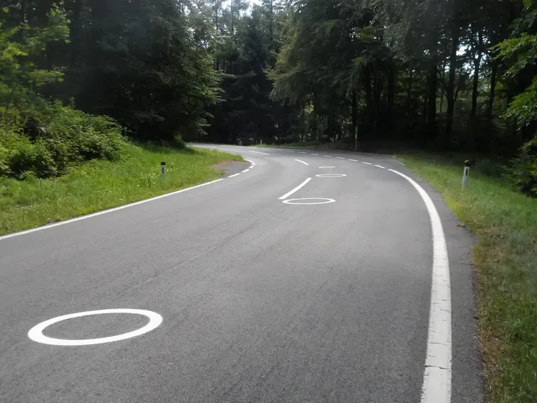 Kurvenreiche Straße mit weißen Markierungen und Bäumen im Wald