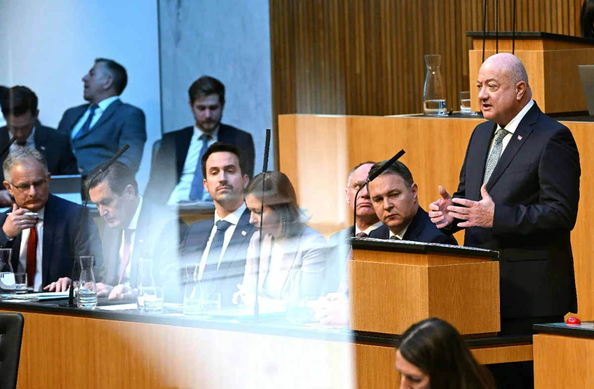 Nationalratsabgeordneter spricht im Parlament in Wien vor sitzenden Politikern.