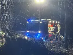 Feuerwehr im Einsatz bei Nacht im Wald, Blaulicht leuchtet, Ausrüstung sichtbar