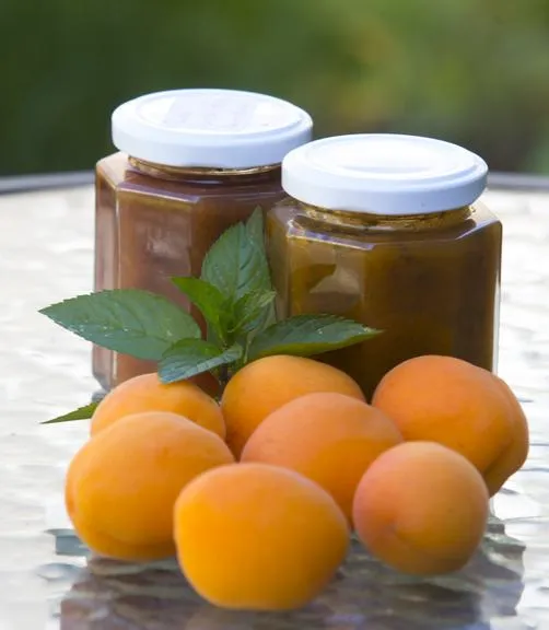 Marmeladengläser mit frischen Marillen und Minze auf einem Tisch
