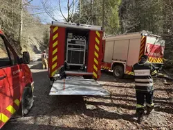 Feuerwehrfahrzeuge mit Einsatzkräften in Wald bei Einsatz von Gerätschaften.