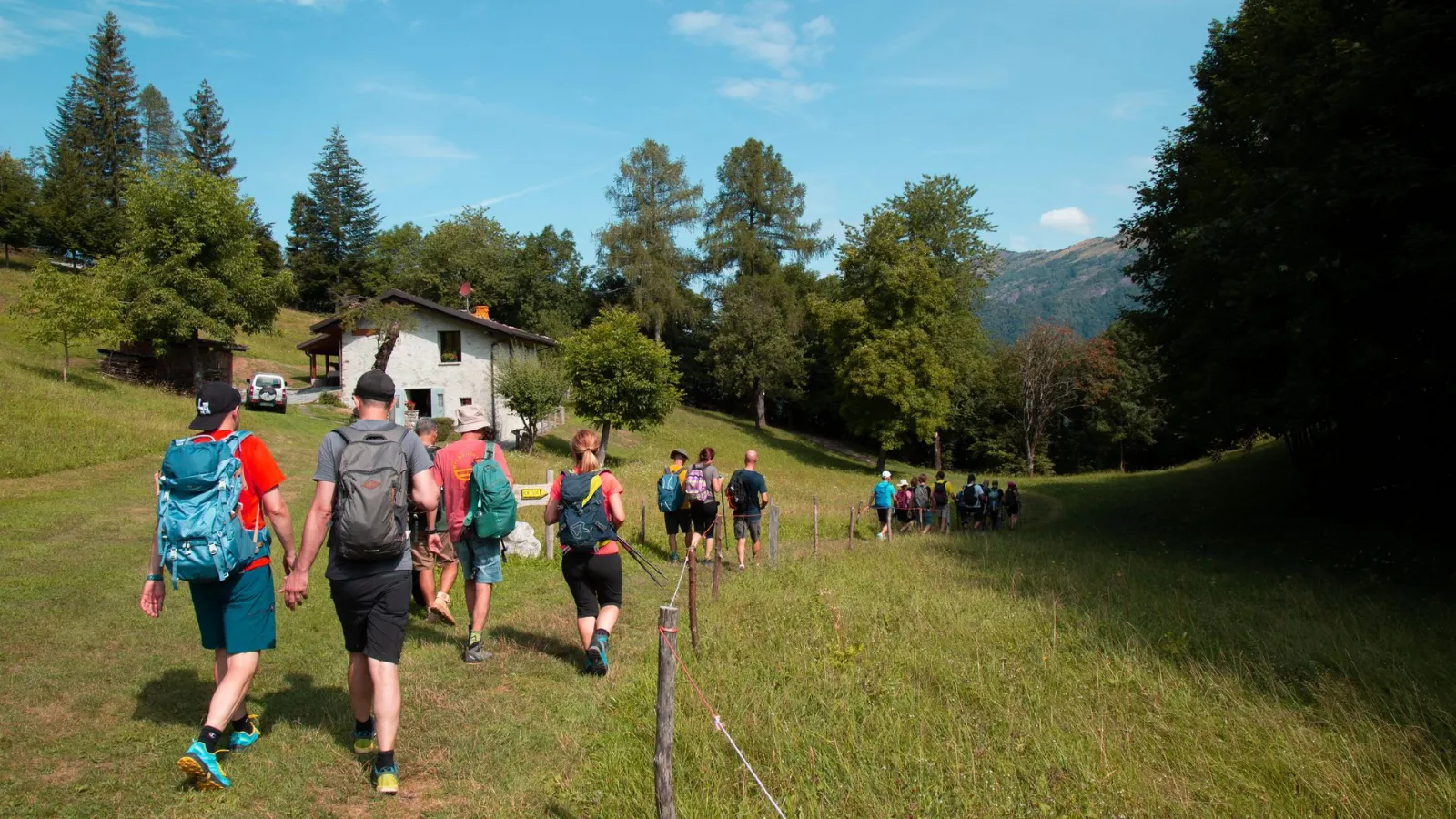 Wandergruppe mit Rucksäcken geht über eine grüne Wiese in den Bergen