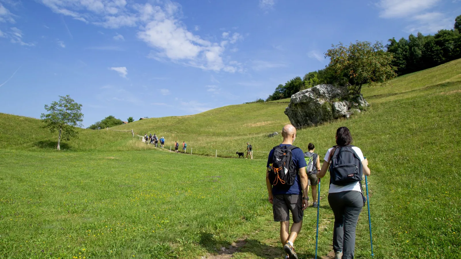 Wanderer auf einem Bergpfad in Österreich mit grünen Wiesen und blauer Himmel
