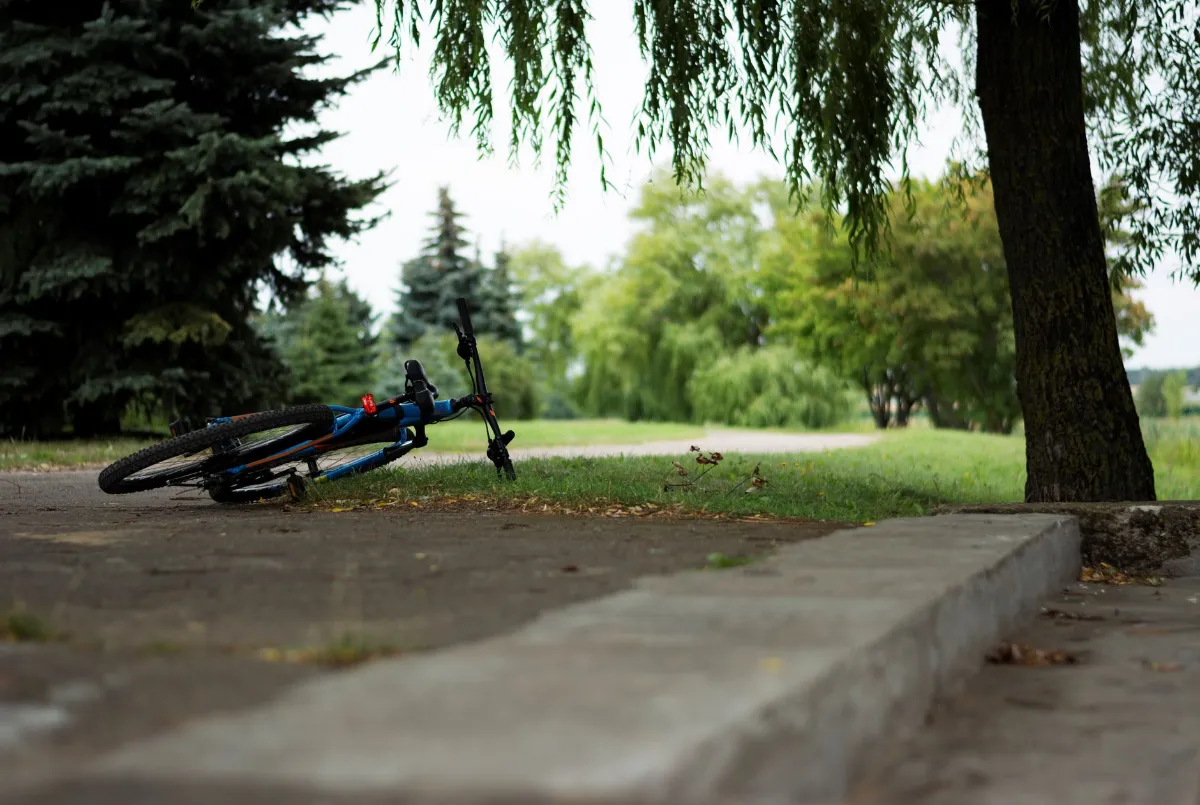 Fahrrad liegt am Wegrand in einem Park mit Bäumen und grüner Wiese