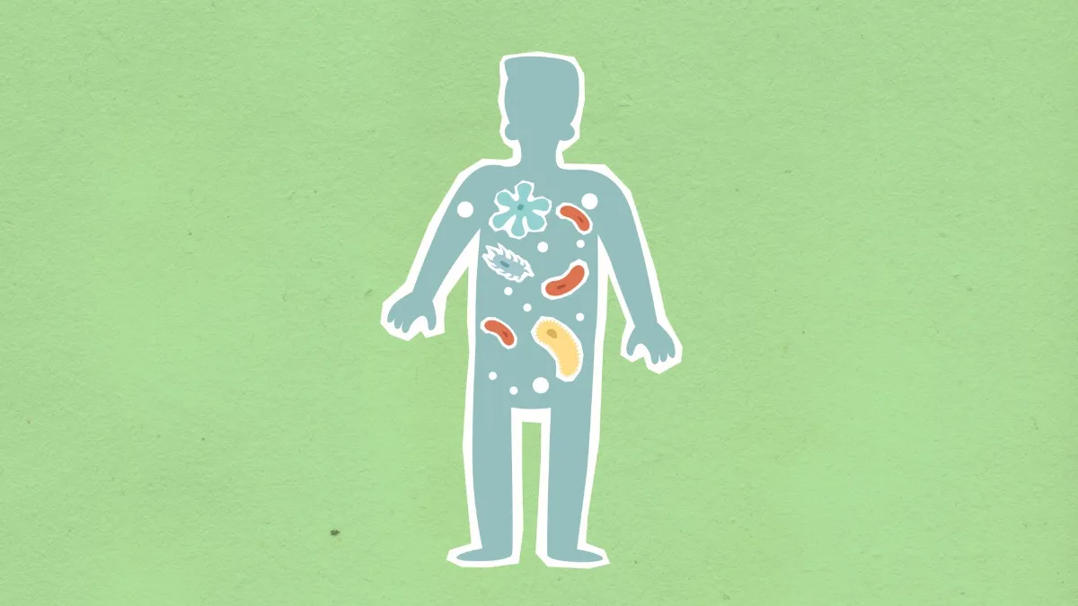 Bakterien im Körper: Illustration einer Silhouette mit verschiedenen Mikroorganismen im Inneren.