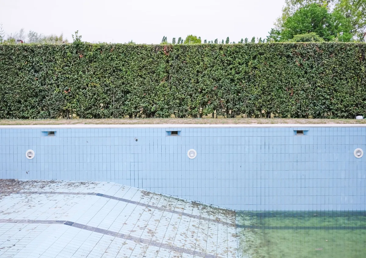 Leerer Pool mit blauen Kacheln und einer dichten Hecke im Hintergrund.