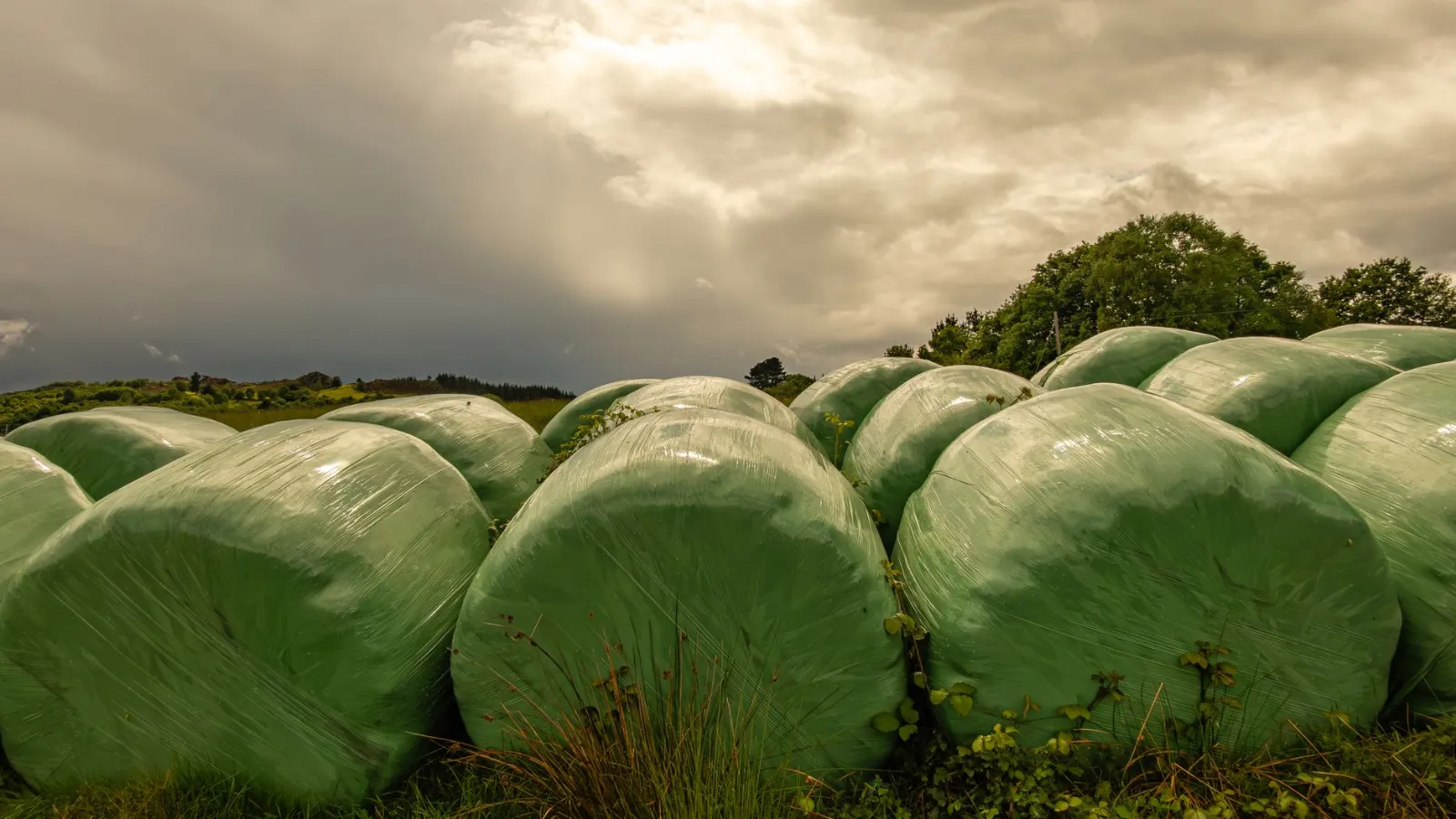 Ballen in grüner Folie auf einem Feld in Österreich, bedeckt von Wolken