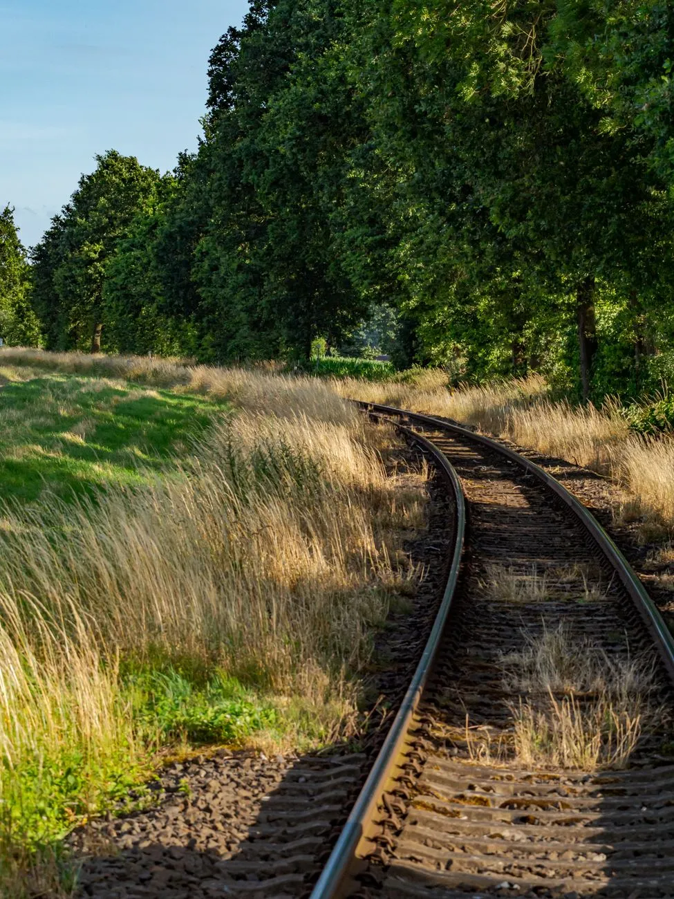 Eisenbahnschiene führt durch eine von Bäumen gesäumte Landschaft mit hohem Gras