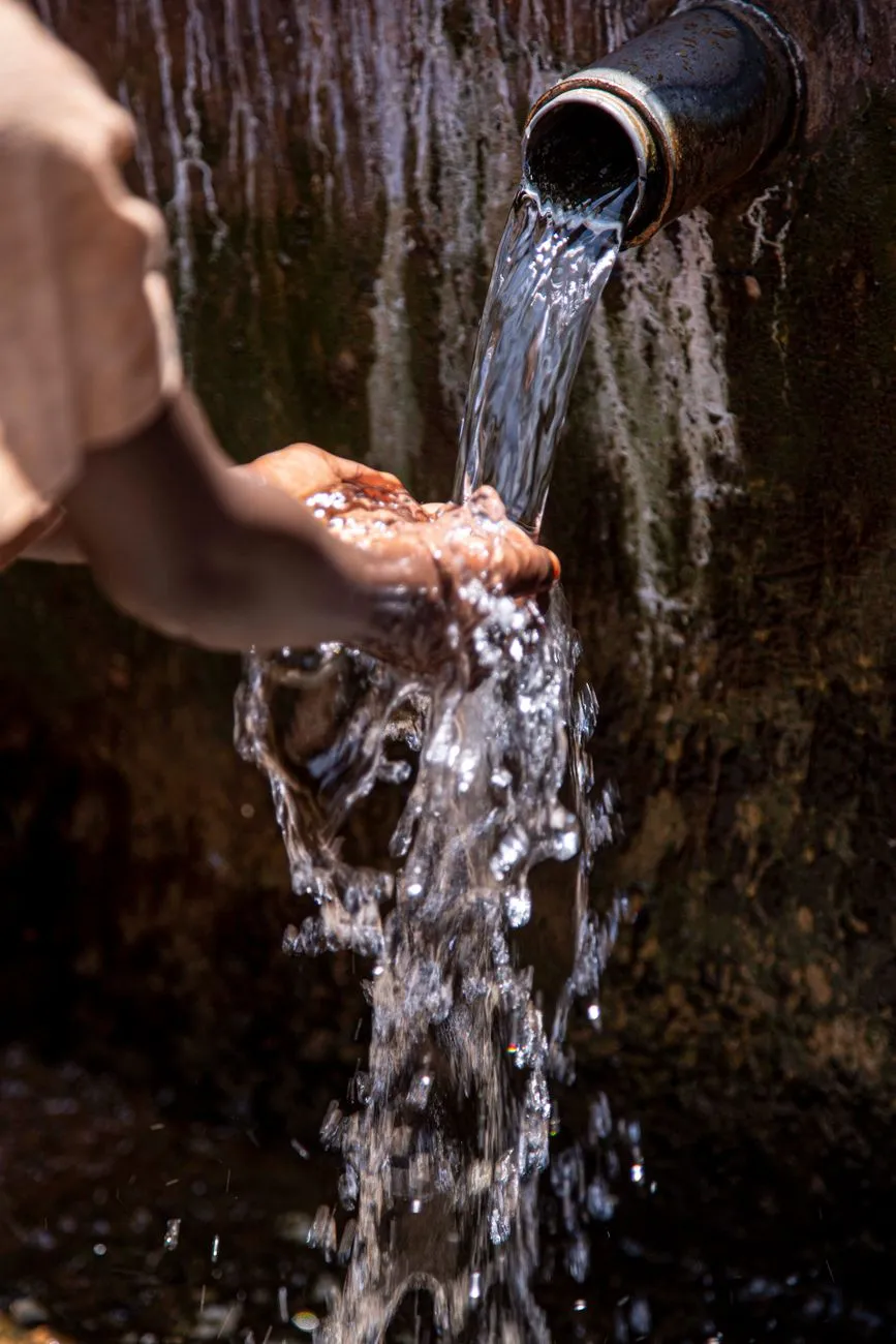Wasser fließt aus Rohr in Hände eines Kindes vor bemooster Wand.