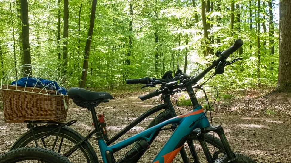 Fahrräder im Wald mit geflochtenem Korb und blauer Plane