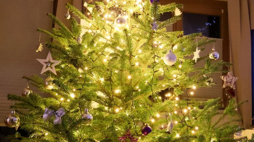 Weihnachtsbaum mit goldenen Kugeln, Sternen und Lichterkette in Österreich