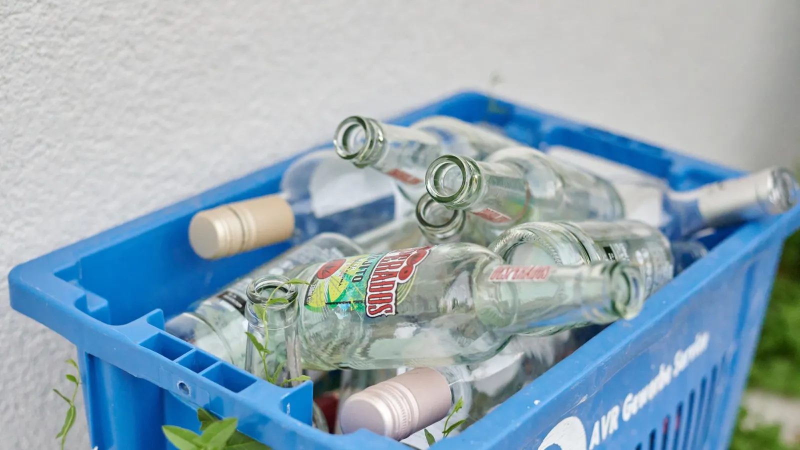 Leere Glasflaschen in blauer Kiste, bereit zur Entsorgung in Österreich