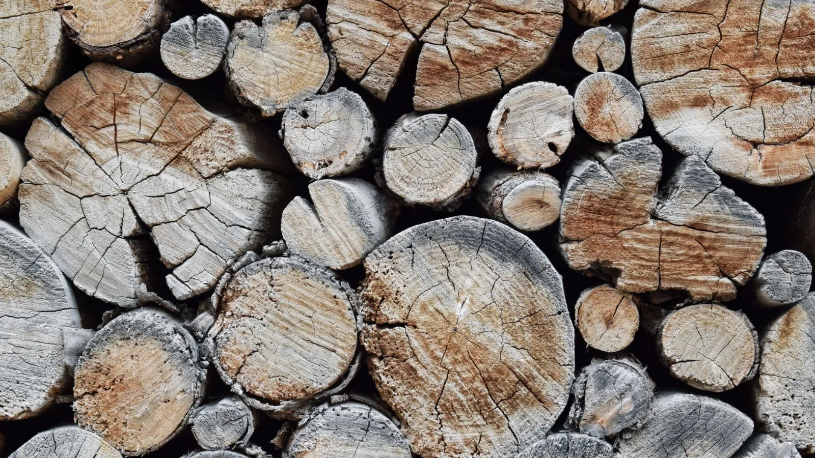 Holzstapel mit Rindenstruktur und Rissen im Querschnitt
