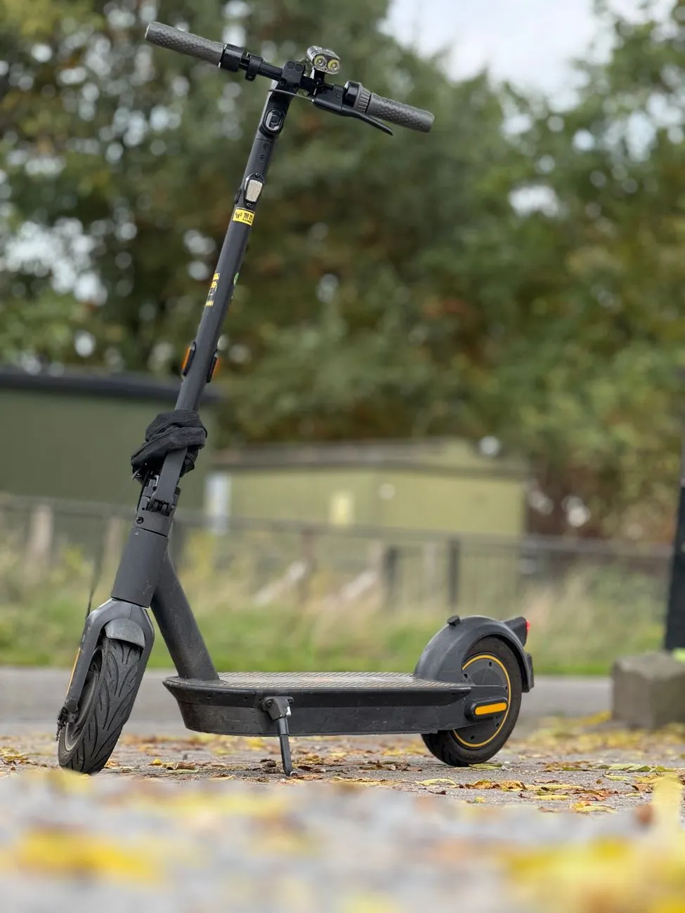 E-Scooter mit Lenker, Vorder- und Hinterrad steht auf einem Gehweg mit Herbstlaub.