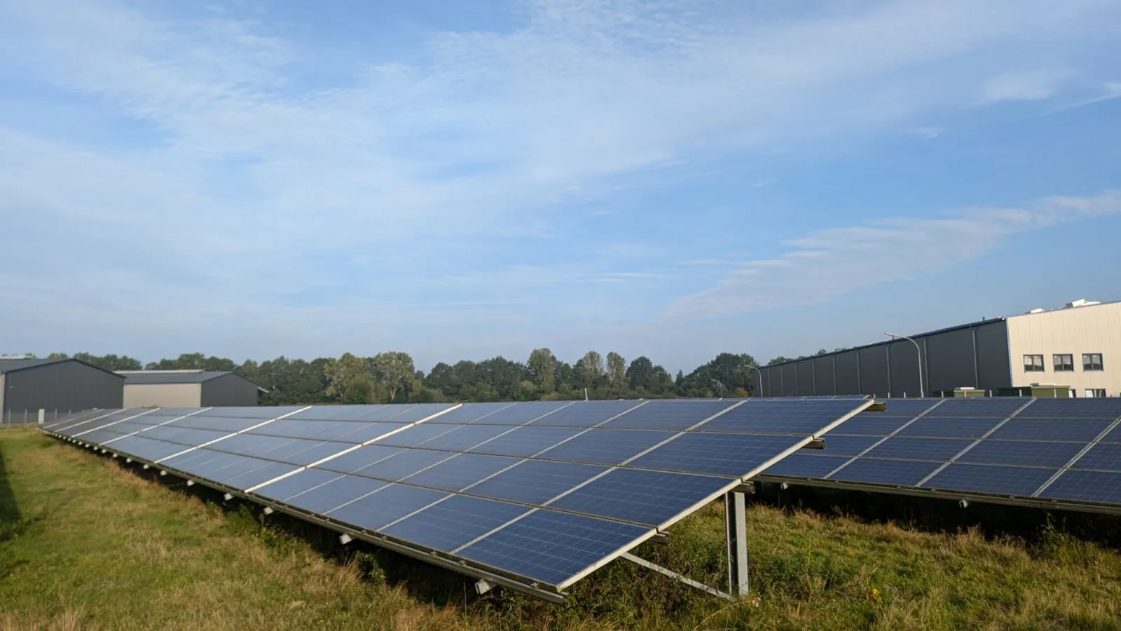 Solarpanels auf einer Wiese vor Industriegebäuden und Bäumen unter blauem Himmel
