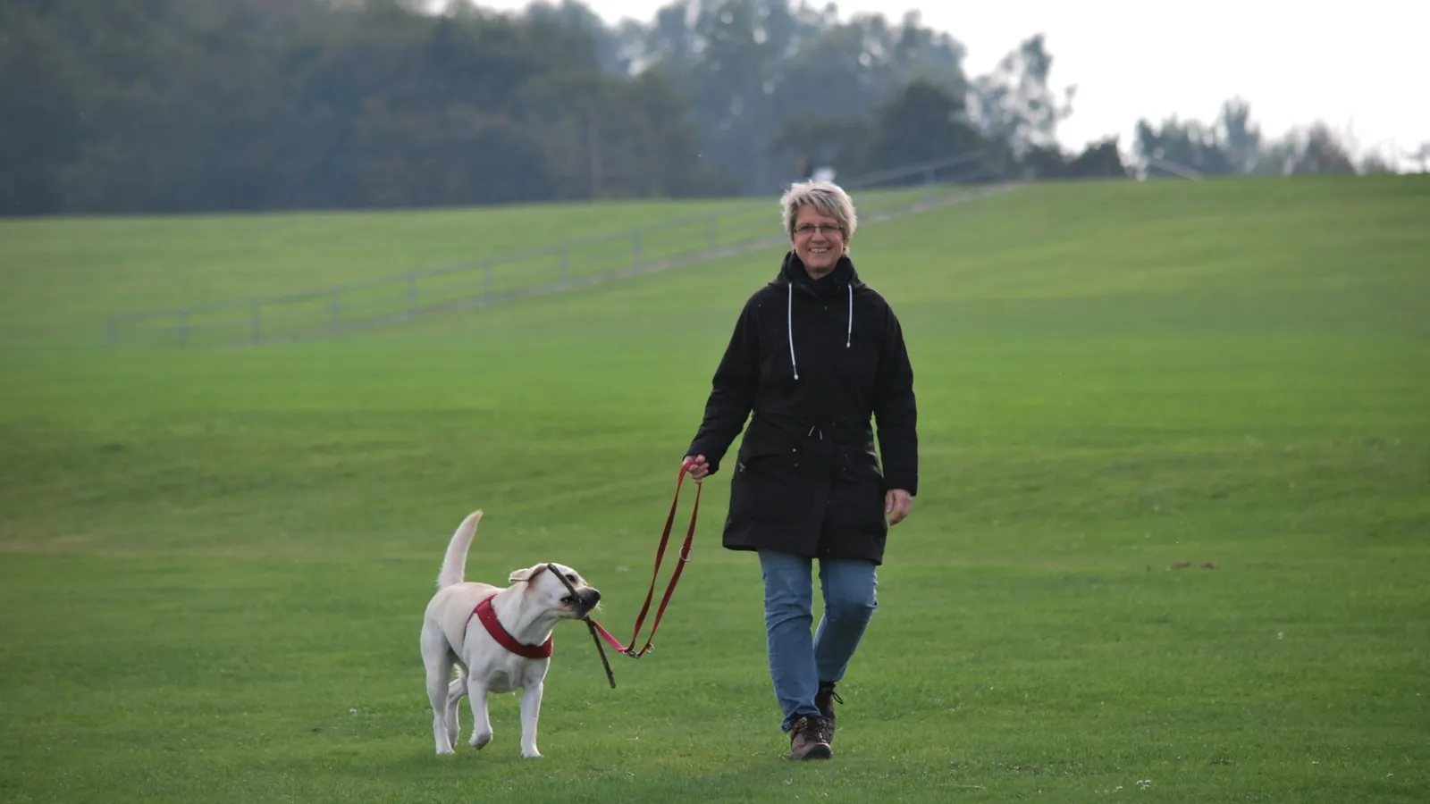 Frau mit Hund auf einer grünen Wiese im Park